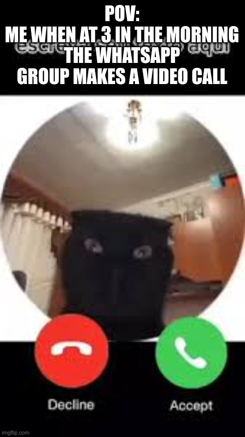 face call | POV:
ME WHEN AT 3 IN THE MORNING THE WHATSAPP GROUP MAKES A VIDEO CALL | image tagged in cat | made w/ Imgflip meme maker