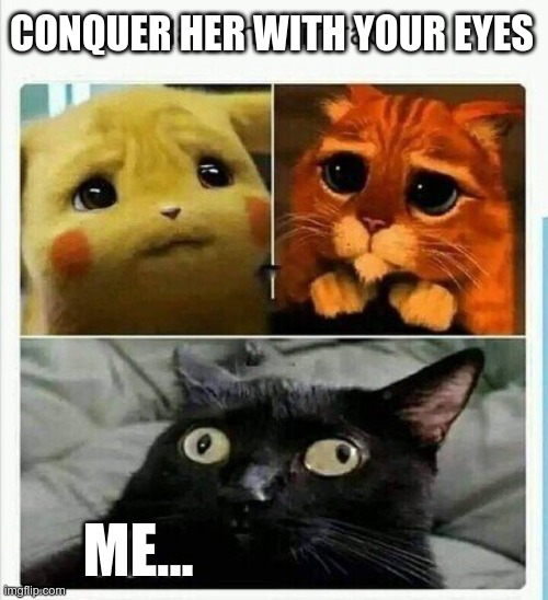 lelel | CONQUER HER WITH YOUR EYES; ME... | image tagged in dw | made w/ Imgflip meme maker