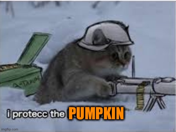 I protect the hooman | PUMPKIN | image tagged in i protect the hooman | made w/ Imgflip meme maker