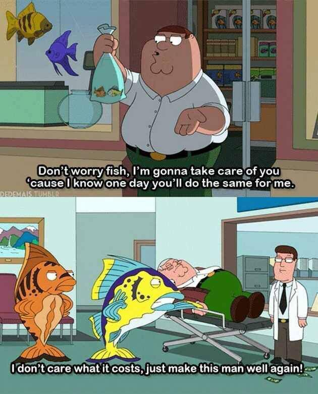 peter Griffin being saved by fish Blank Meme Template