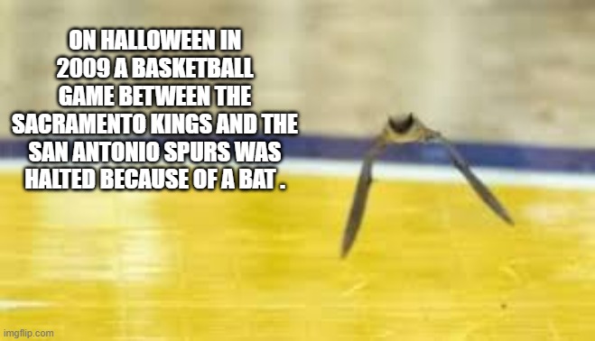 memes by Brad - The NBA game with the Spurs & Kings was halted do to a bat | ON HALLOWEEN IN 2009 A BASKETBALL GAME BETWEEN THE SACRAMENTO KINGS AND THE SAN ANTONIO SPURS WAS HALTED BECAUSE OF A BAT . | image tagged in funny,sports,nba,bat,basketball,humor | made w/ Imgflip meme maker