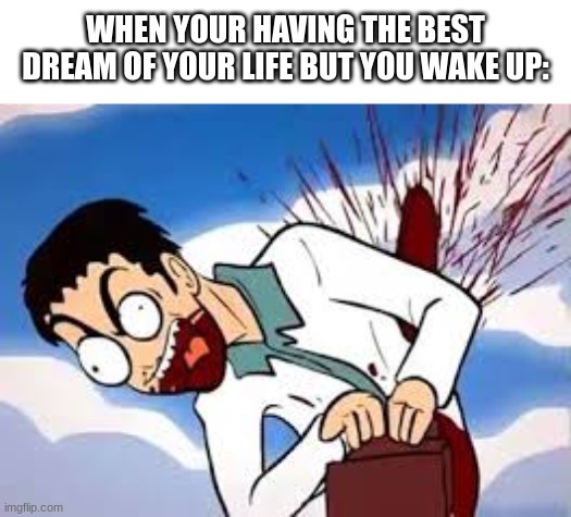 WHEN YOUR HAVING THE BEST DREAM OF YOUR LIFE BUT YOU WAKE UP: | image tagged in meme | made w/ Imgflip meme maker