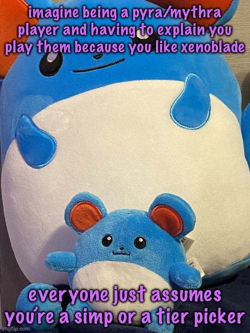 the dynamic Bhillip duo | imagine being a pyra/mythra player and having to explain you play them because you like xenoblade; everyone just assumes you’re a simp or a tier picker | image tagged in the dynamic bhillip duo | made w/ Imgflip meme maker