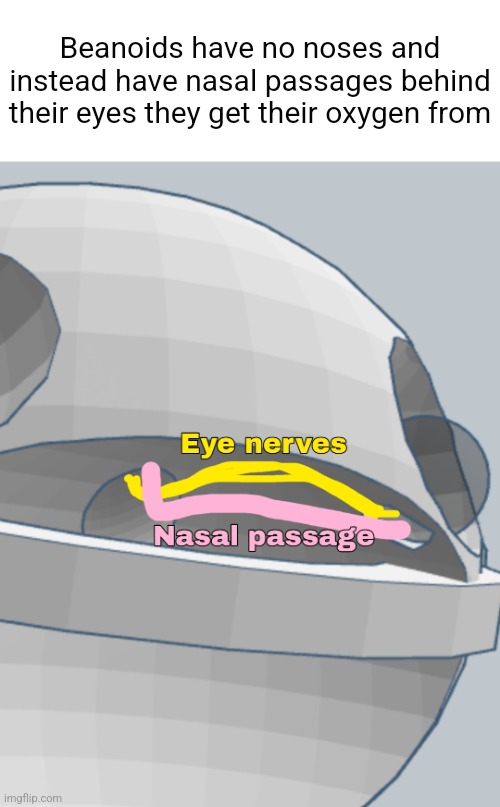 Beanoids have no noses and instead have nasal passages behind their eyes they get their oxygen from | made w/ Imgflip meme maker