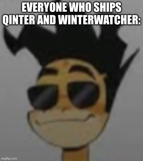 They are the best ships | EVERYONE WHO SHIPS QINTER AND WINTERWATCHER: | image tagged in wings of fire | made w/ Imgflip meme maker