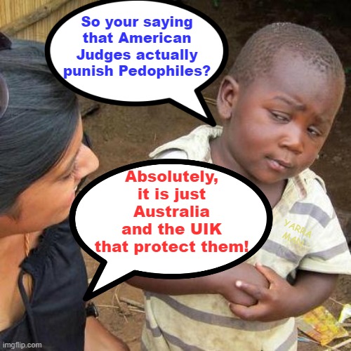 So its just the UIK and Australia where the Judges and Politicians protect Pedophiles? | So your saying that American Judges actually punish Pedophiles? Absolutely, it is just Australia and the UIK that protect them! YARRA MAN | image tagged in skeptical kid,usa,australia,uk,judiciary,predators | made w/ Imgflip meme maker