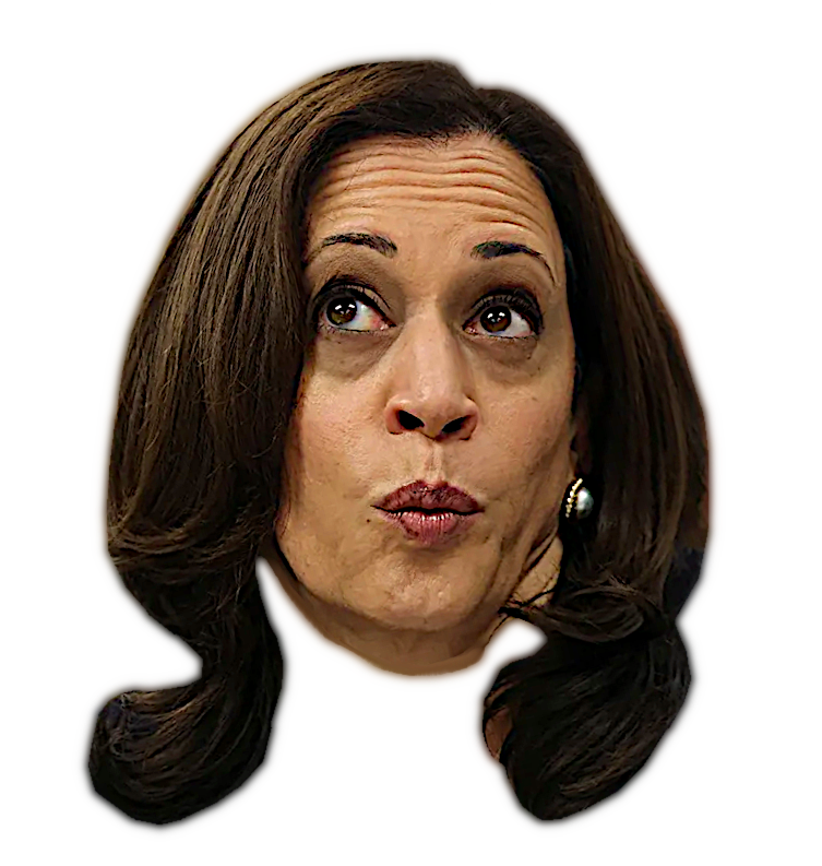 KAMALA FAKES INNOCENCE Blank Meme Template