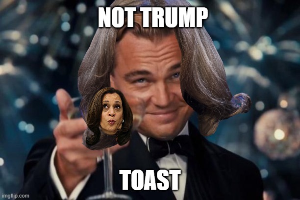 NOT TRUMP - TOAST | NOT TRUMP; TOAST | image tagged in kamala harris,biden,coup,liar,disloyal,toast | made w/ Imgflip meme maker