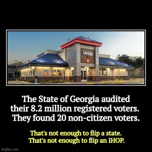 Republicans have fabricated the non-citizen voter hysteria. It's a load of clams. | The State of Georgia audited their 8.2 million registered voters. 
They found 20 non-citizen voters. | That's not enough to flip a state. 
T | image tagged in funny,demotivationals,georgia,immigration,voter fraud,fantasy | made w/ Imgflip demotivational maker