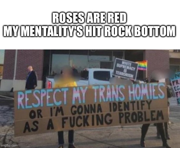 Wowzers | ROSES ARE RED
MY MENTALITY'S HIT ROCK BOTTOM | image tagged in e | made w/ Imgflip meme maker