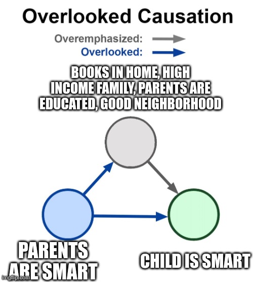 Overlooked causality | BOOKS IN HOME, HIGH INCOME FAMILY, PARENTS ARE EDUCATED, GOOD NEIGHBORHOOD; PARENTS ARE SMART; CHILD IS SMART | image tagged in overlooked causality | made w/ Imgflip meme maker