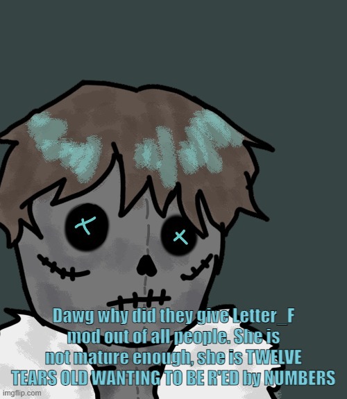 OsDe plush (thanks Disco) | Dawg why did they give Letter_F mod out of all people. She is not mature enough, she is TWELVE TEARS OLD WANTING TO BE R'ED by NUMBERS | image tagged in osde plush thanks disco | made w/ Imgflip meme maker