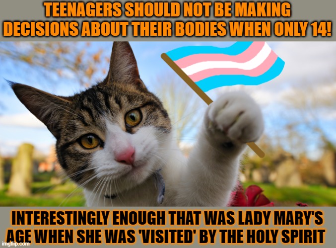 This #lolcat wonders why only christian conservatives should be free to make their own decisions | TEENAGERS SHOULD NOT BE MAKING DECISIONS ABOUT THEIR BODIES WHEN ONLY 14! INTERESTINGLY ENOUGH THAT WAS LADY MARY'S AGE WHEN SHE WAS 'VISITED' BY THE HOLY SPIRIT | image tagged in conservative hypocrisy,christianity,lolcat,transphobic | made w/ Imgflip meme maker