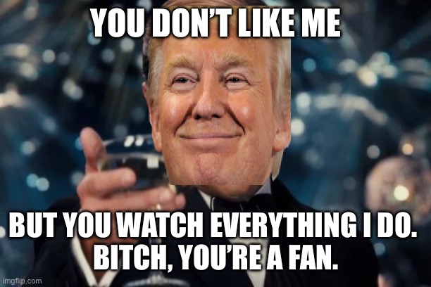 Leonardo Dicaprio Cheers | YOU DON’T LIKE ME; BUT YOU WATCH EVERYTHING I DO. 
BITCH, YOU’RE A FAN. | image tagged in memes,leonardo dicaprio cheers | made w/ Imgflip meme maker