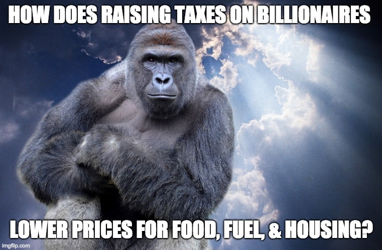 Harambe Billionaire taxes | HOW DOES RAISING TAXES ON BILLIONAIRES; LOWER PRICES FOR FOOD, FUEL, & HOUSING? | image tagged in harambe | made w/ Imgflip meme maker