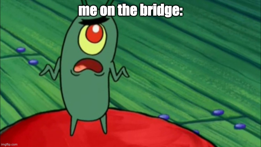 Plankton didn't think he'd get this far | me on the bridge: | image tagged in plankton didn't think he'd get this far | made w/ Imgflip meme maker