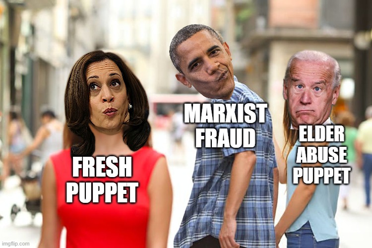 HOW A COUP IS BORN... | MARXIST
FRAUD; ELDER
ABUSE
PUPPET; FRESH
PUPPET | image tagged in kamala harris,biden,coup,obama,liars,disloyal | made w/ Imgflip meme maker