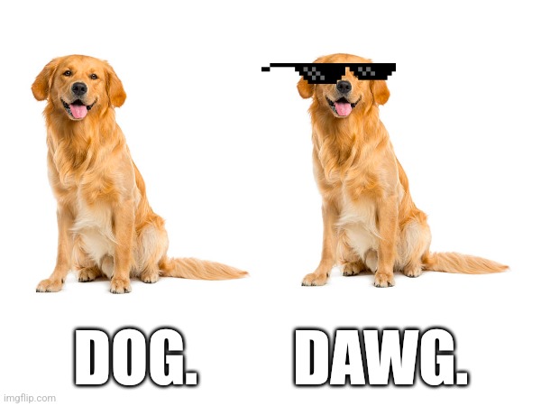 The difference | DOG.        DAWG. | image tagged in dog,yo dawg,funny | made w/ Imgflip meme maker