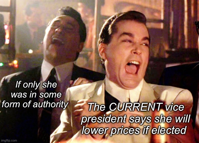 Do nothing border czar would do the same as price czar. Nothing | If only she was in some form of authority; The CURRENT vice president says she will lower prices if elected | image tagged in memes,good fellas hilarious,politics lol | made w/ Imgflip meme maker