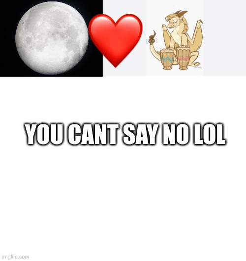 YOU CANT SAY NO LOL | image tagged in full moon,qibli's drums,blank white template | made w/ Imgflip meme maker