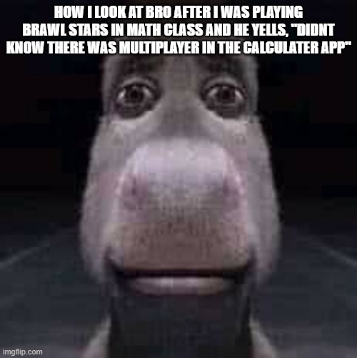 im gonna touch him now | HOW I LOOK AT BRO AFTER I WAS PLAYING BRAWL STARS IN MATH CLASS AND HE YELLS, "DIDNT KNOW THERE WAS MULTIPLAYER IN THE CALCULATER APP" | image tagged in donkey staring,relatable,funny,me and bro | made w/ Imgflip meme maker