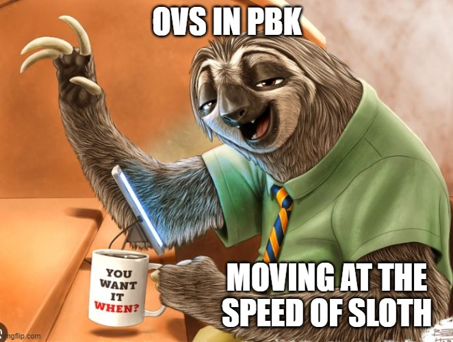 OVS IN PBK; MOVING AT THE SPEED OF SLOTH | image tagged in slow | made w/ Imgflip meme maker