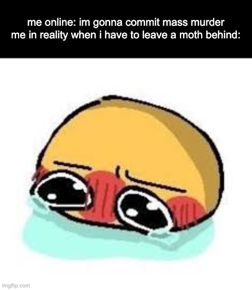 amb shamb bbbmba | me online: im gonna commit mass murder
me in reality when i have to leave a moth behind: | image tagged in amb shamb bbbmba | made w/ Imgflip meme maker