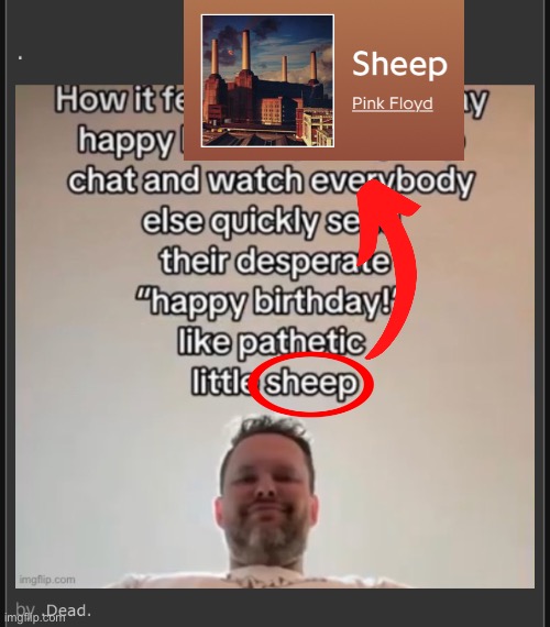 made w/ Imgflip meme maker