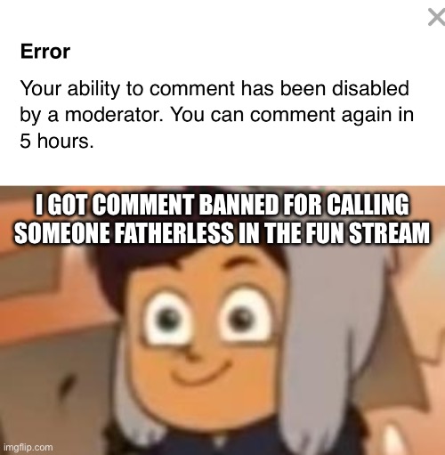 I GOT COMMENT BANNED FOR CALLING SOMEONE FATHERLESS IN THE FUN STREAM | image tagged in why | made w/ Imgflip meme maker