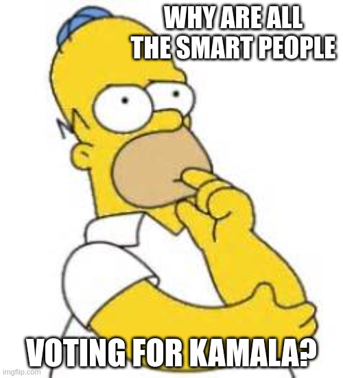 Homer contemplates voting | WHY ARE ALL THE SMART PEOPLE; VOTING FOR KAMALA? | image tagged in homer simpson hmmmm | made w/ Imgflip meme maker