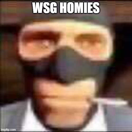 spi | WSG HOMIES | image tagged in spi | made w/ Imgflip meme maker