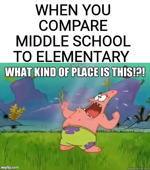 What kind of place is this? | WHEN YOU COMPARE MIDDLE SCHOOL TO ELEMENTARY | image tagged in what kind of place is this | made w/ Imgflip meme maker