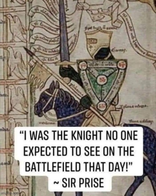 Knighty Knight | image tagged in knight,unexpected,surprised,battlefield,bad jokes | made w/ Imgflip meme maker