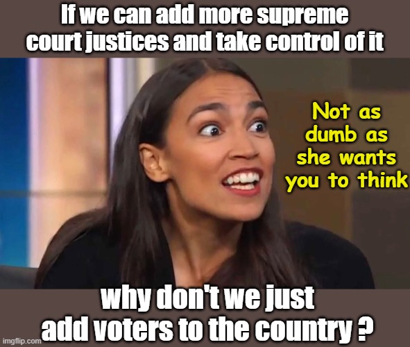 Not as Crazy as She wants you to think | If we can add more supreme court justices and take control of it; Not as dumb as she wants you to think; why don't we just add voters to the country ? | image tagged in crazy aoc | made w/ Imgflip meme maker