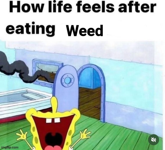 Weed | made w/ Imgflip meme maker
