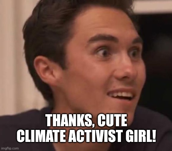 David hogg | THANKS, CUTE CLIMATE ACTIVIST GIRL! | image tagged in david hogg | made w/ Imgflip meme maker