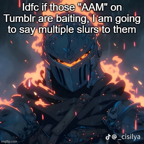 Knight | Idfc if those "AAM" on Tumblr are baiting, I am going to say multiple slurs to them | image tagged in knight | made w/ Imgflip meme maker