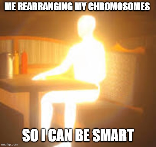 Just a meme | ME REARRANGING MY CHROMOSOMES; SO I CAN BE SMART | image tagged in man made of light | made w/ Imgflip meme maker