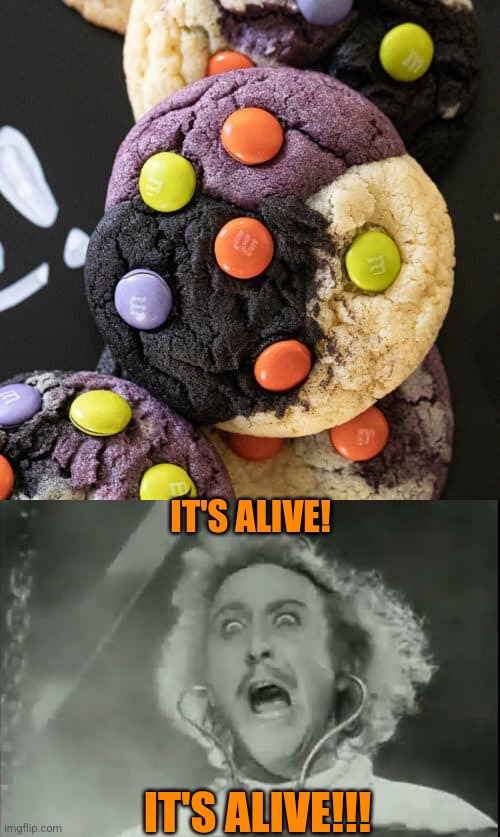 FRANENCOOKIE | IT'S ALIVE! IT'S ALIVE!!! | image tagged in young frankenstein,frankenstein,cookies,halloween,spooktober | made w/ Imgflip meme maker