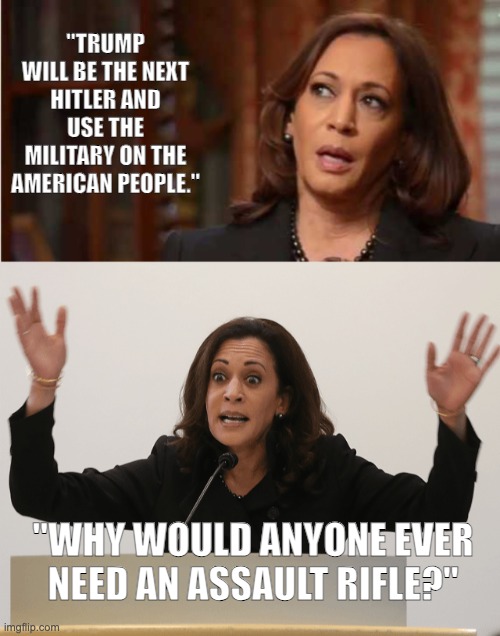 "TRUMP WILL BE THE NEXT HITLER AND USE THE MILITARY ON THE AMERICAN PEOPLE."; "WHY WOULD ANYONE EVER NEED AN ASSAULT RIFLE?" | image tagged in kamala harris,kamala constipated | made w/ Imgflip meme maker