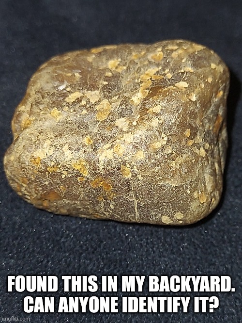 FOUND THIS IN MY BACKYARD. CAN ANYONE IDENTIFY IT? | made w/ Imgflip meme maker