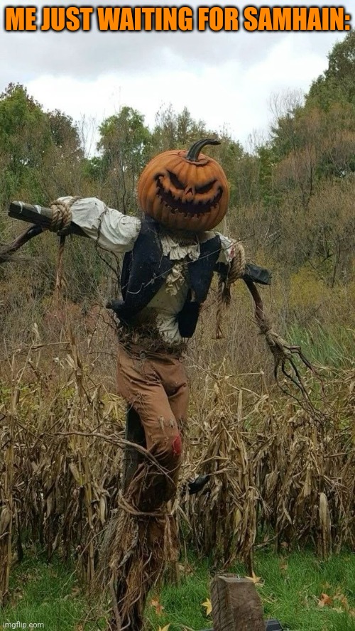 JUST SIT AND TALK TO CROWS | ME JUST WAITING FOR SAMHAIN: | image tagged in scarecrow,pumpkin,spooky,halloween,spooktober | made w/ Imgflip meme maker