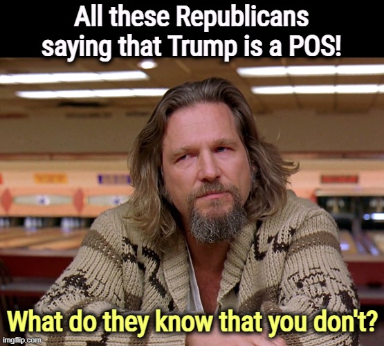 The Big Lebowski and no great fan of Hair Drumpf - Trump | All these Republicans saying that Trump is a POS! What do they know that you don't? | image tagged in the big lebowski and no great fan of hair drumpf - trump,republicans,trump,pos,piece | made w/ Imgflip meme maker