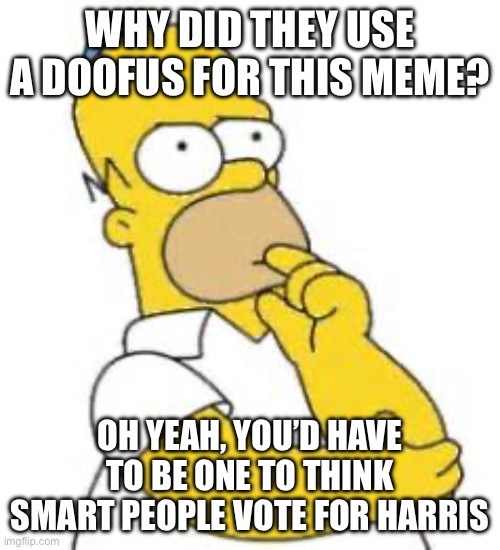 Homer Simpson Hmmmm | WHY DID THEY USE A DOOFUS FOR THIS MEME? OH YEAH, YOU’D HAVE TO BE ONE TO THINK SMART PEOPLE VOTE FOR HARRIS | image tagged in homer simpson hmmmm | made w/ Imgflip meme maker