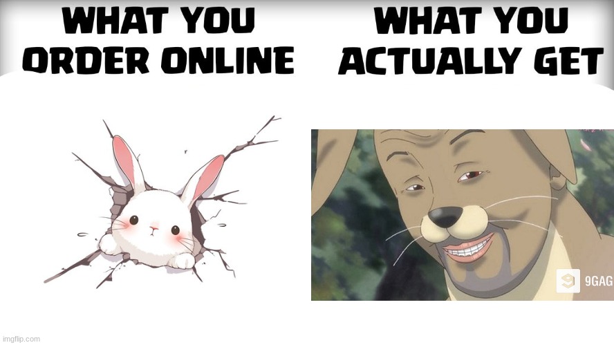 What you order online | image tagged in what you order online | made w/ Imgflip meme maker