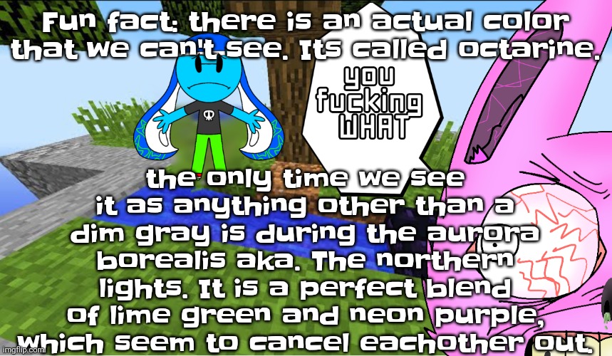 So.. Yeah. | the only time we see it as anything other than a dim gray is during the aurora borealis aka. The northern lights. It is a perfect blend of lime green and neon purple, which seem to cancel eachother out. Fun fact: there is an actual color that we can't see. Its called octarine. | image tagged in top 10 minecraft fails | made w/ Imgflip meme maker