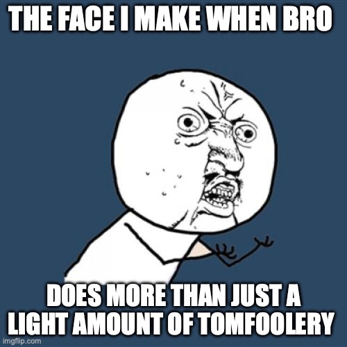 Y U No | THE FACE I MAKE WHEN BRO; DOES MORE THAN JUST A LIGHT AMOUNT OF TOMFOOLERY | image tagged in memes,y u no | made w/ Imgflip meme maker