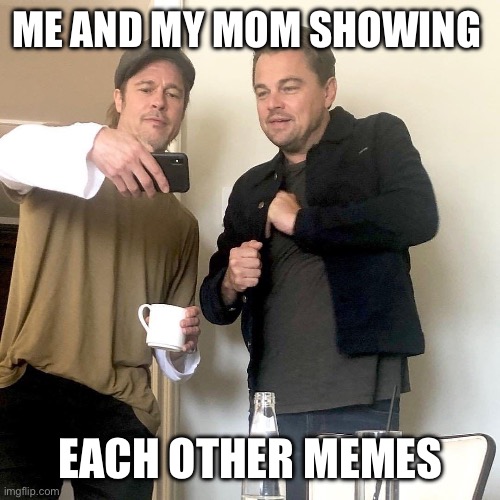 Brad Pitt Showing Leo DiCaprio Phone | ME AND MY MOM SHOWING; EACH OTHER MEMES | image tagged in brad pitt showing leo dicaprio phone | made w/ Imgflip meme maker