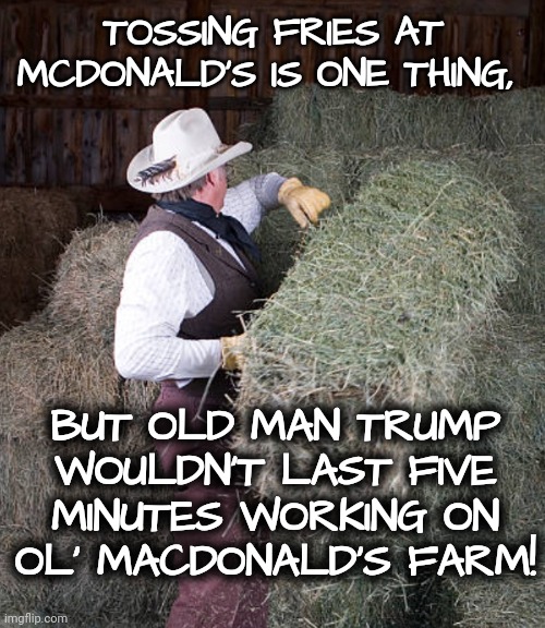 Eey-eye, Eey-eye, Oh | TOSSING FRIES AT MCDONALD'S IS ONE THING, BUT OLD MAN TRUMP WOULDN'T LAST FIVE MINUTES WORKING ON
OL' MACDONALD'S FARM! | image tagged in farming,donald trump,rural america,dnc,mcdonalds | made w/ Imgflip meme maker