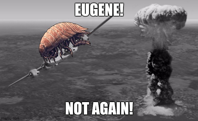 Eugene! Not Again! | EUGENE! NOT AGAIN! | image tagged in hiroshima | made w/ Imgflip meme maker